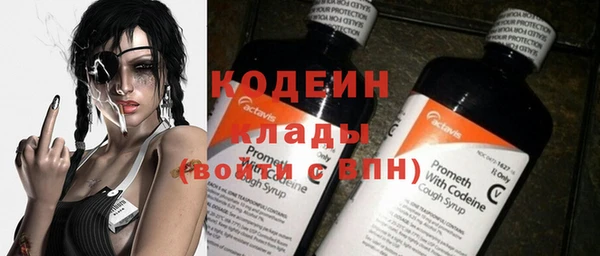 метадон Богданович