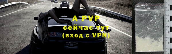 метадон Богданович