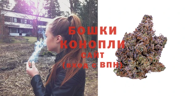 скорость Бородино