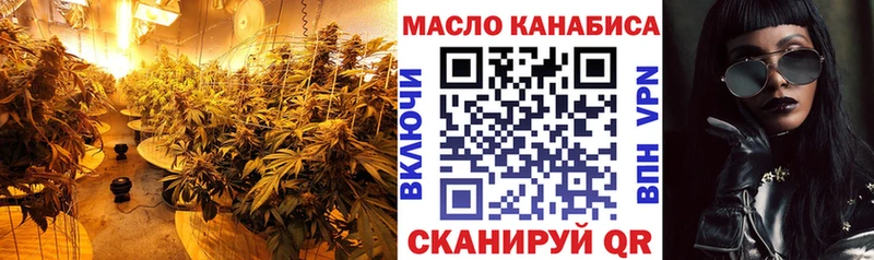 Купить закладки  Онега  Дистиллят ТГК THC oil 